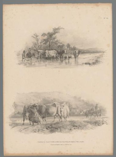 Two landscapes with a herd of cattle