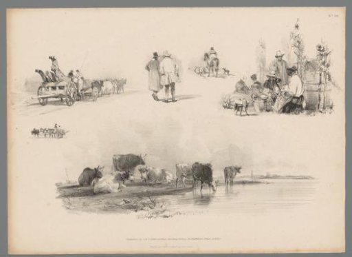 Various representations with cattle and figures