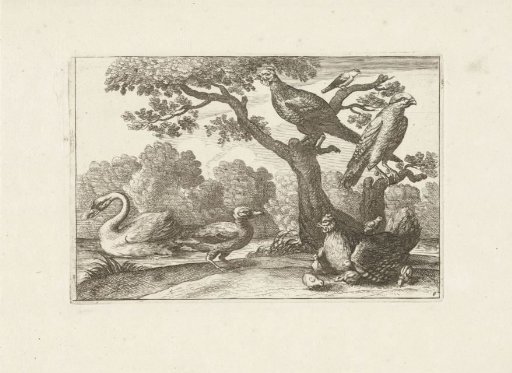 Hen with Chicks and Other Birds