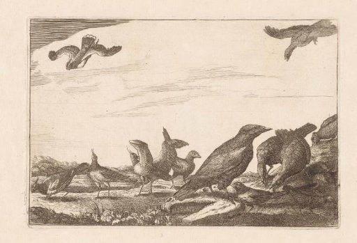 Crow and Group of Pheasants