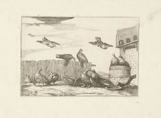 Doves