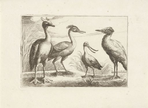 Spoonbill and Three Other Wading Birds