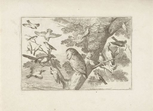Owl and Other Birds in a Tree