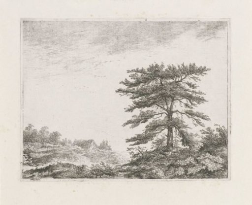 Tree in a Heath Landscape