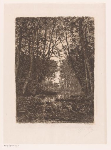 Landscape with tall trees and a heron around a pool of water