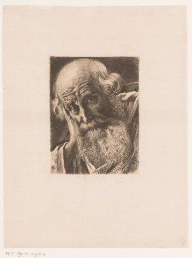 Head of an Old Man