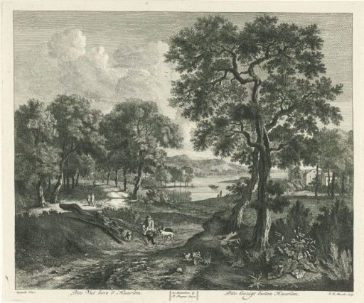 Dune Landscape outside Haarlem