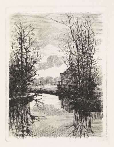 House and trees along the water