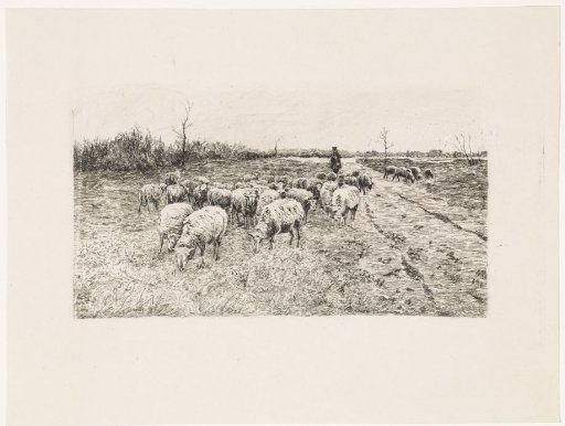 Shepherd with a Flock of Sheep