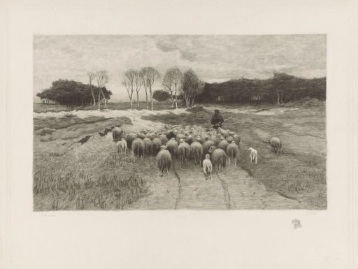 Shepherd