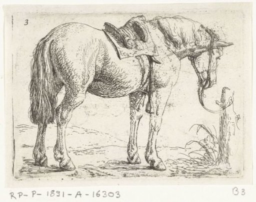 Horse with saddle