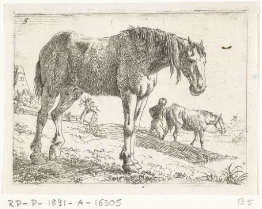 Standing horse