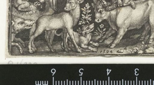 Monkeys sitting on camel and bull with captured stag