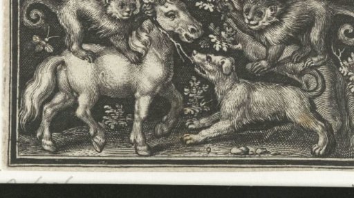 Two monkeys tease a dog
