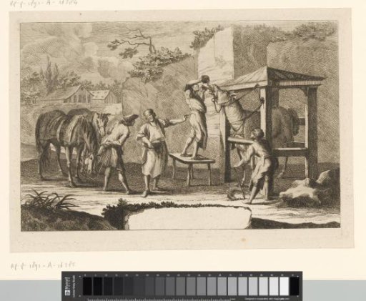 Veterinary surgeon administering medicine to a sick horse