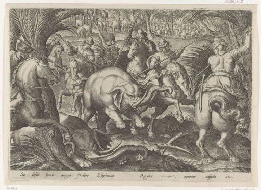 Hunt for Elephants