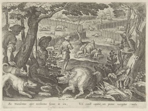 Driven Hunt for Boars