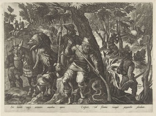 Boar Hunt with Guns