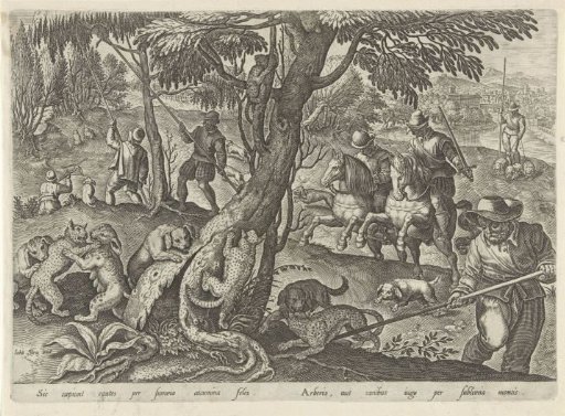 Hunt for Wild Cats