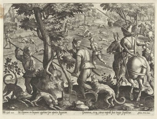 Hunt for Hares