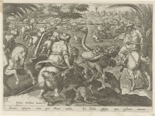 Hunt for Ostriches