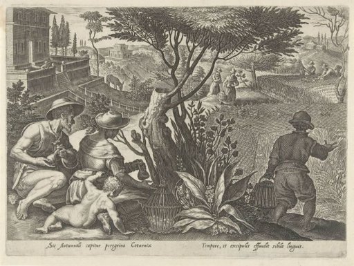 Hunt for Partridges