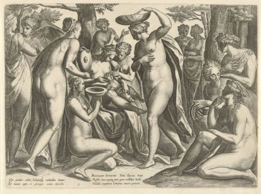 The Education of Adonis