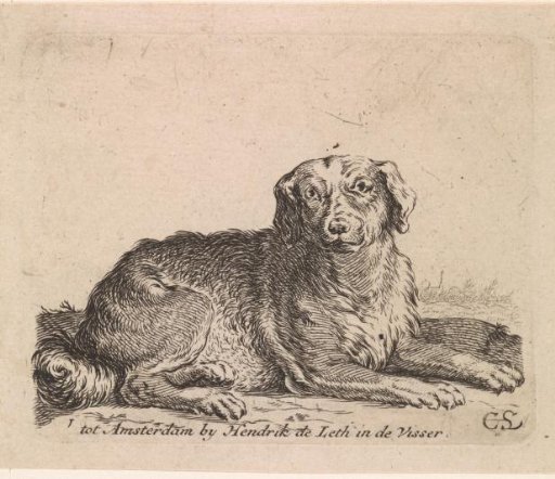Lying dog