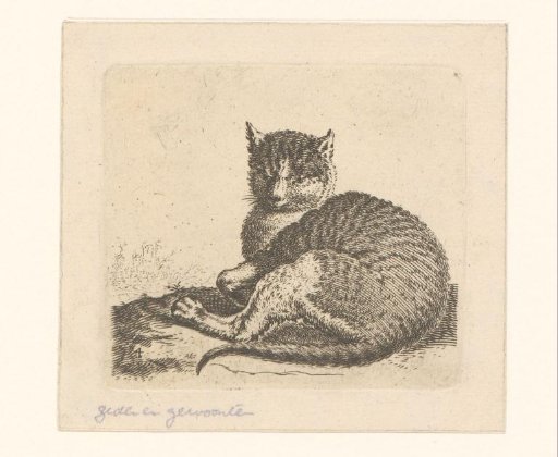 Recumbent Cat