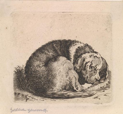 Recumbent Spotted Dog