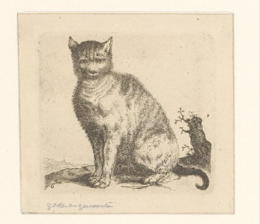 Sitting Cat