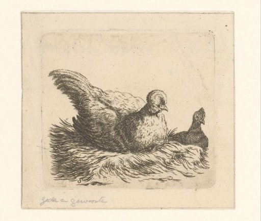 Two Hens