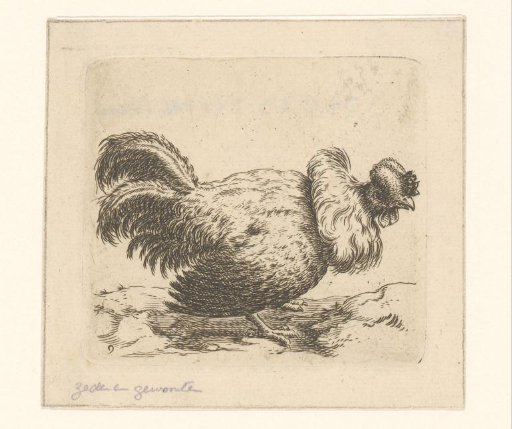 Standing Rooster