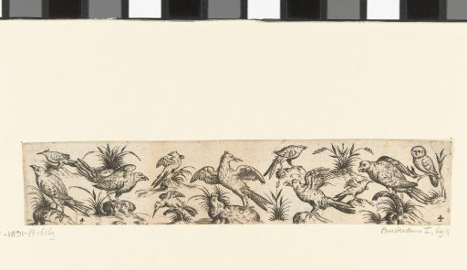 Frieze with Eleven Birds, with an Owl Sitting on the Right