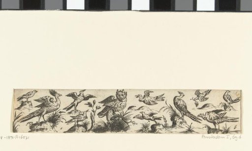 Frieze with eleven birds, with an owl in the center