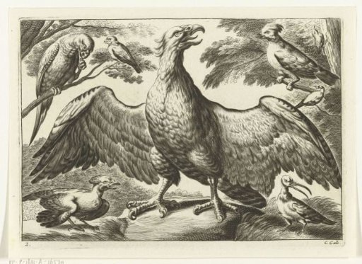Eagle