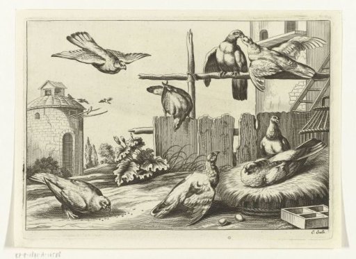 Pigeons at a dovecote