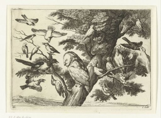 Birds in a tree