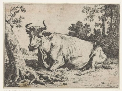 Lying cow by a tree