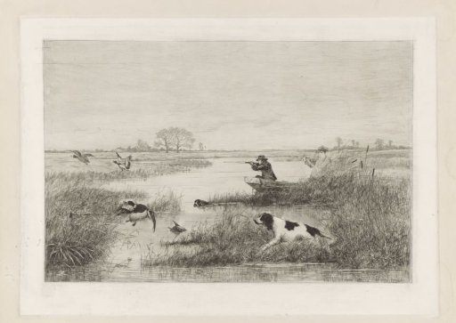 Duck Hunt
