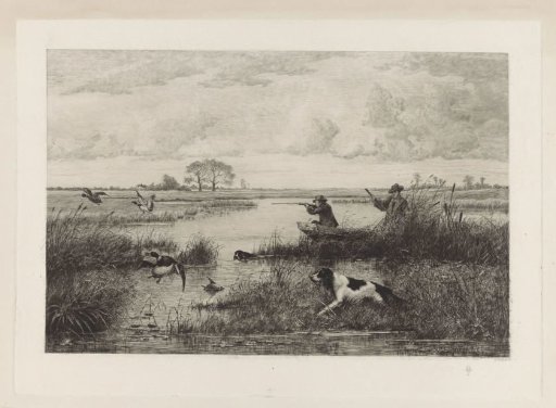 Duck Hunt