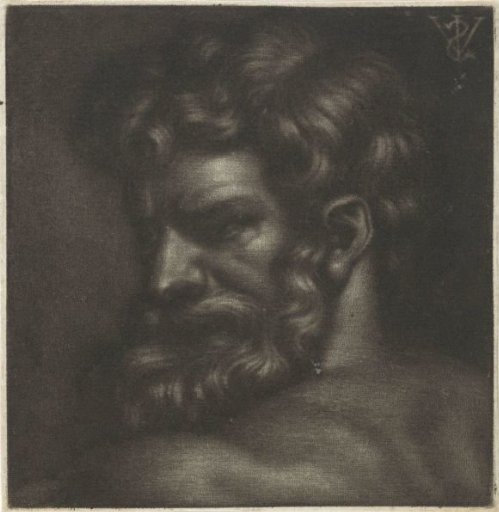 Bust of a man with a beard, facing left