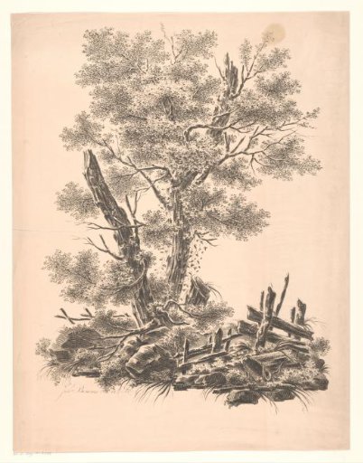 Two Lime Trees
