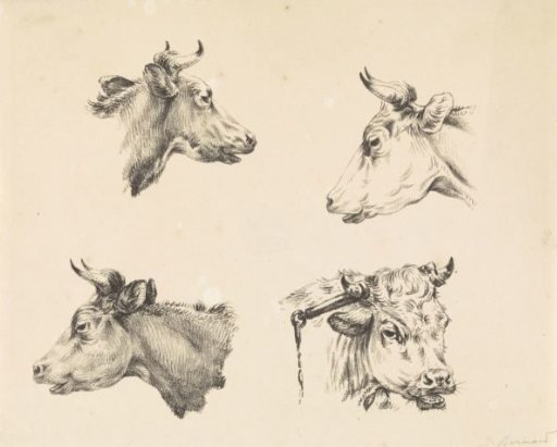Four bull's heads