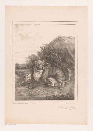 Bitch with three puppies