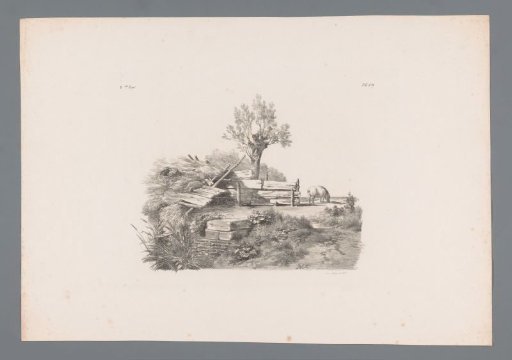 Landscape with collapsed house, pollard willow and pig
