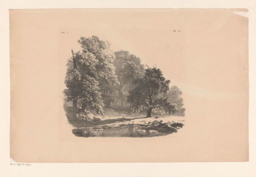 Lake in the wood