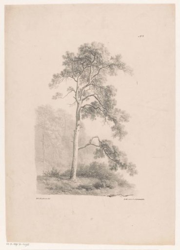 Tree in a landscape