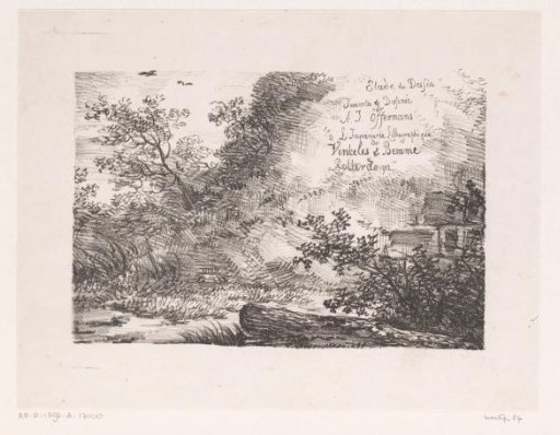 Brushwood and Bushes
