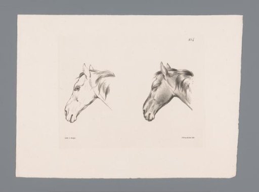 Two studies of a horse's head